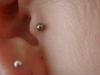 antitragus