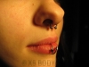Nasenseptum Piercing
